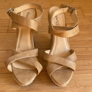 Bucco Capensis Wedges